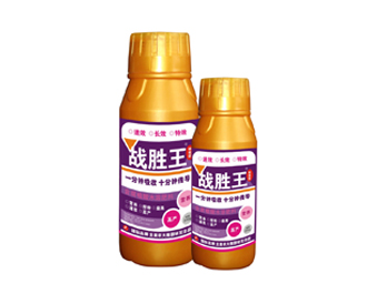 <b>【戰勝王】特效型水溶肥 500g</b>