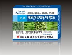 豆角生長專用調節劑-嫩直拉長增綠