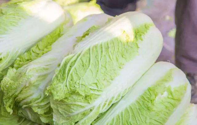 秋白菜_水溶肥,沖施肥,葉面肥,進口水溶肥