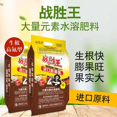 茄子花期施什么水溶肥好？