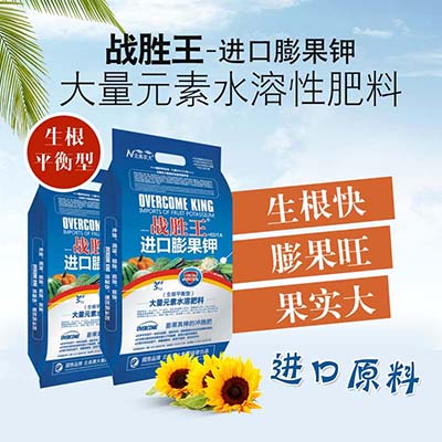 西蘭花應該如何施肥？水溶肥怎么施用？