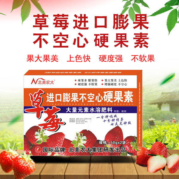 草莓果小怎么辦？草莓膨果不空心的方法！