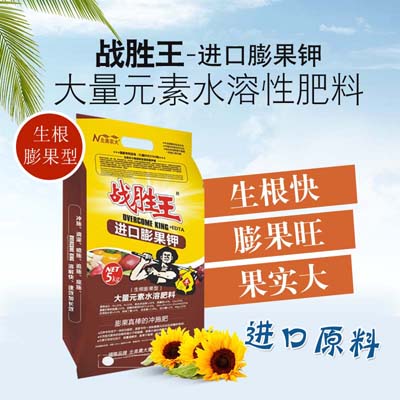 南瓜怎么施肥提高產量？南瓜的施肥要點