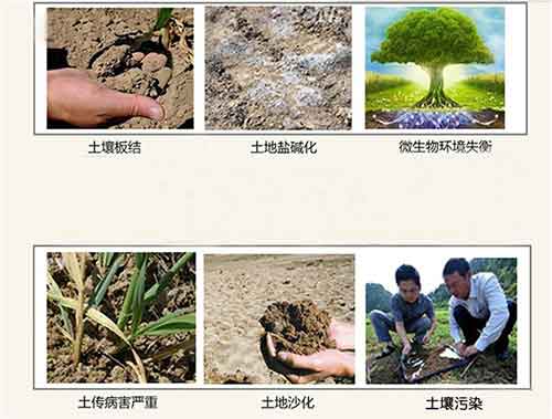 海藻酸、腐殖酸、甲殼素……到底哪個好用？