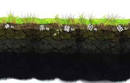 海藻酸、腐殖酸、甲殼素……到底哪個好用？