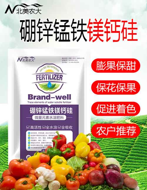 大蔥如何施肥，大蔥的正確施肥原則